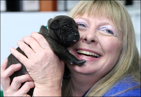 Korea successfully cloned asexual dog