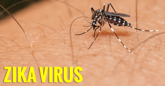 Korean girl infected with Zika virus after returning from Vietnam