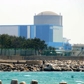 Korean nuclear power sticks clones