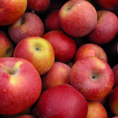 Lack of oxygen helps fruit break longer