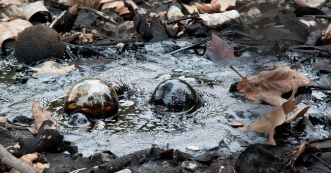 Lake asphalt - Natural asphalt workshop