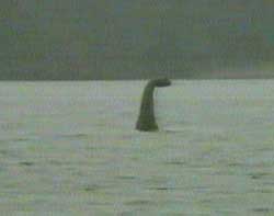 Lake Ness monster is a circus elephant?