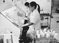 Lang Son applied many scientific and technical advances to production