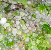 Lao Cai again caught heavy hail