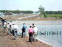 Large-scale drought in South Central