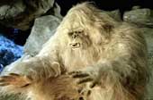 Latest discovery of the mysterious Yeti Snowman