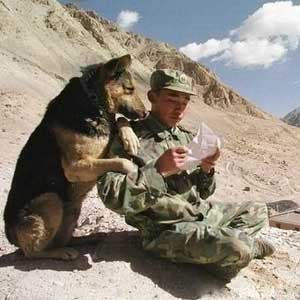 Laughing belly with the US army