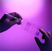 Launch a large-scale organ scanning project
