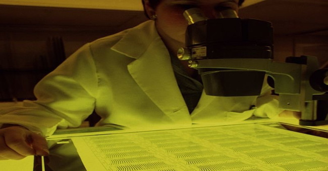 Launch the human cell mapping project of the century