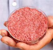 Launched the first manual manual for artificial food processing