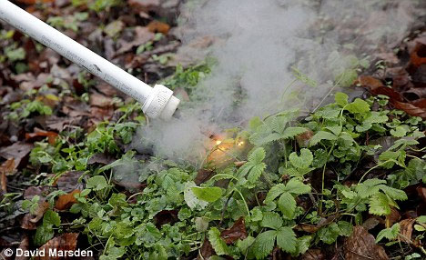 Lawnmowers for gardeners
