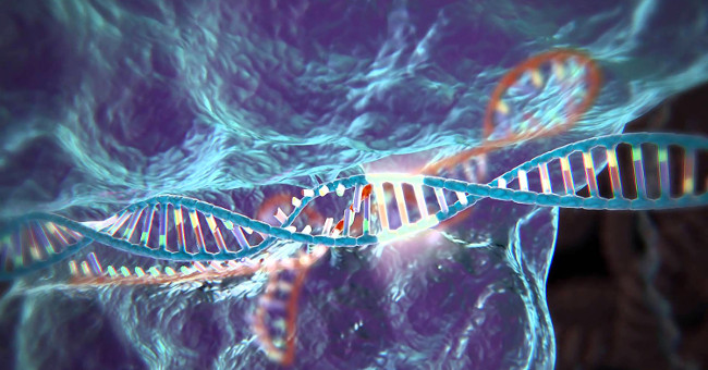 Learn about CRISPR - The genetic modification technology that China has just surpassed the United States