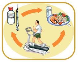 Learn about diabetes at the molecular level