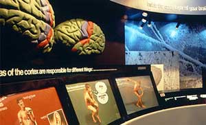 Learn about human science