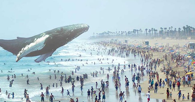 Learn about Magic Leap: When virtual 3D images are projected directly into the eye