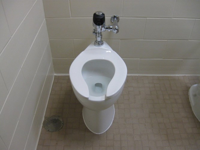 Learn the facts startled to the toilet makes everyone surprised
