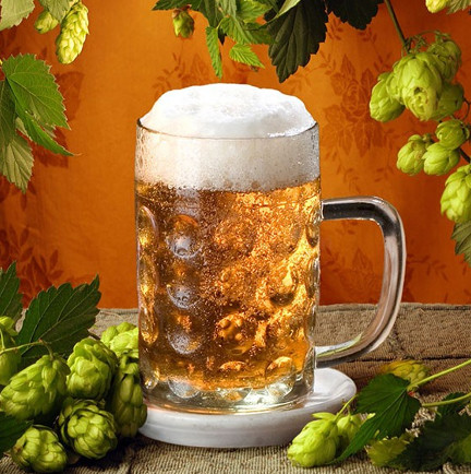 Learn the history of beer