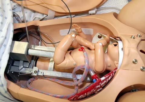 Learning to give birth by ... robots