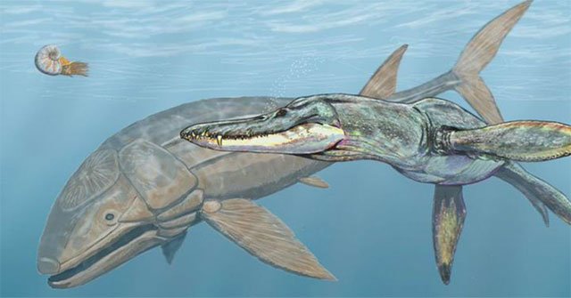 Leedsichthys: The 'vacuum cleaner' of the Jurassic Sea was once misunderstood as a dinosaur