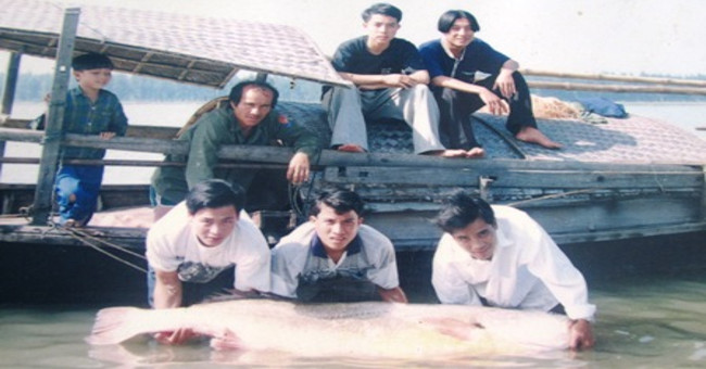 Legend of Golden Su fish on Lam river