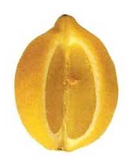 Lemon seeds reduce cough and cure snake bites