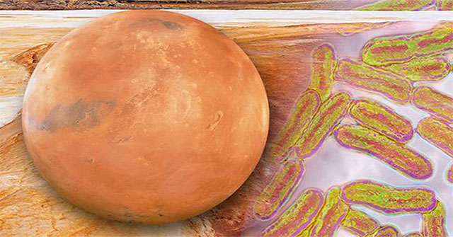 Lessons from Covid-19 help deal with alien pathogens