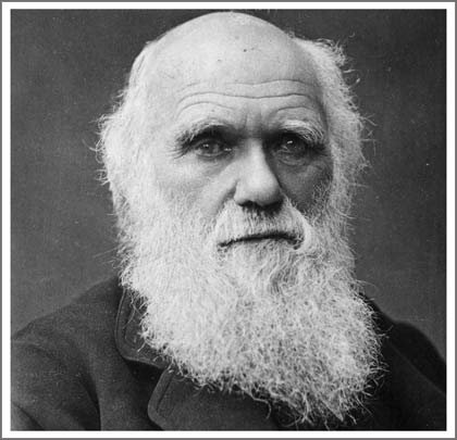 Letters reveal Darwin's youth