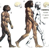 Lice 'write' human history