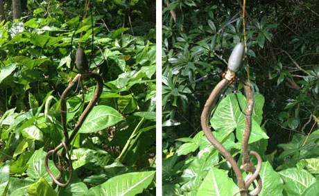 Life and death between spiders and snakes