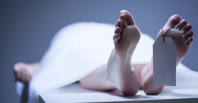 Life continues in the body 2 days after death