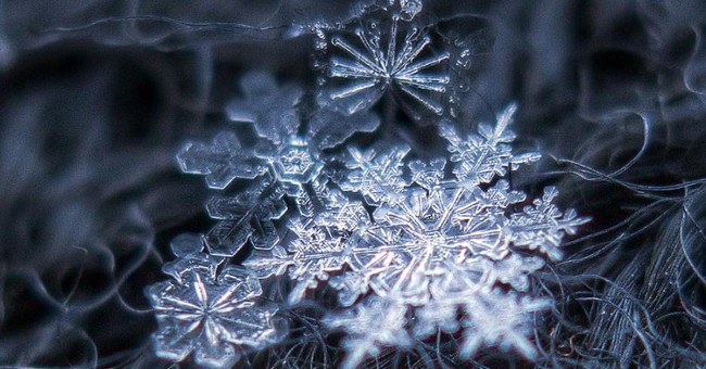 Life cycle of a snowflake