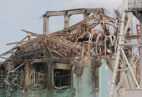 Life in the dead land in Japan