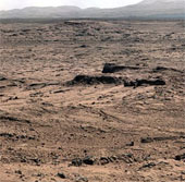 Life in the earth comes from Mars