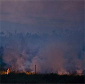 Life in the sea of ​​smoke in Indonesia