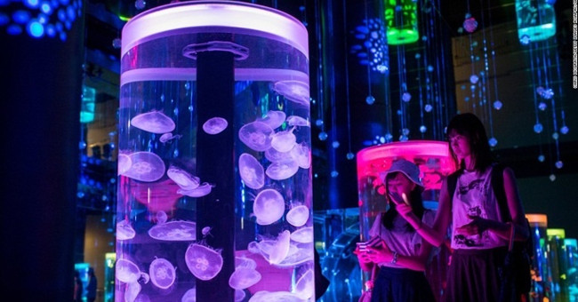 Life is full of future technology in Japan