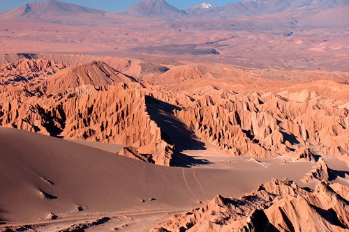 Life is in the driest place on Earth