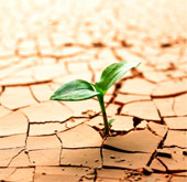 Life on Earth comes from ... clay?