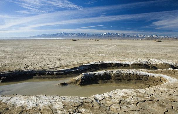 Life on Earth starts from a puddle?