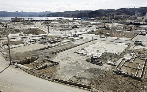 Life revived on Fukushima 'dead land'