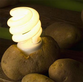 Light up the led lights with potatoes