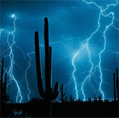 Lightning 'hate' anglers