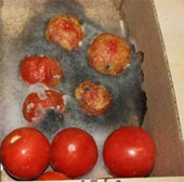 List of extremely toxic food preservatives