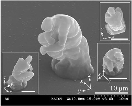 Listed 5 most tiny objects on the planet