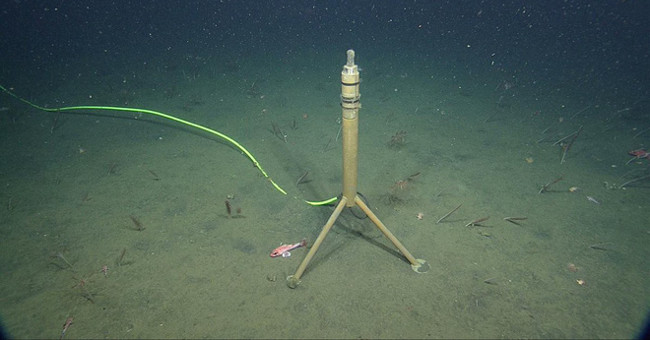 Listen to livestream sound from the sea floor, will you be lucky to hear the dolphin?