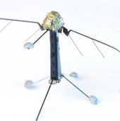 Little flying robot