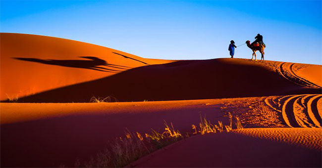 Little known facts about the Sahara desert