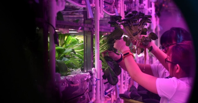 Live 200 days in space: Do you have the courage to overcome the challenge?