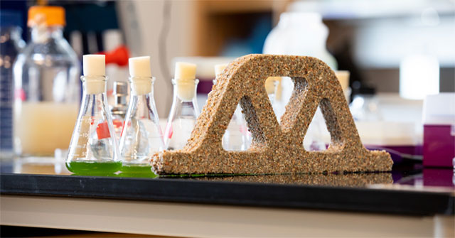 'Living' concrete bricks can heal and reproduce on their own