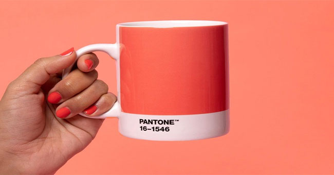 Living Coral - 'Orange coral ngoe nguoi' is the official color of 2019
