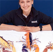 Lobster changes color